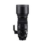 150-600MM F5-6.3 DG DN OS S alternate view 5