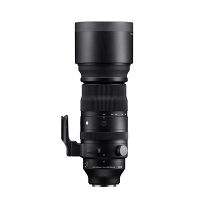 150-600MM F5-6.3 DG DN OS S alternate view 5