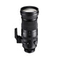 150-600mm F5-6.3 DG DN OS | S
