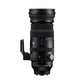 150-600mm F5-6.3 DG DN OS | S