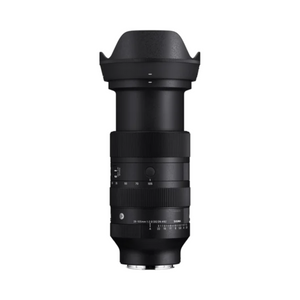 28-105mm F2.8 DG DN | A