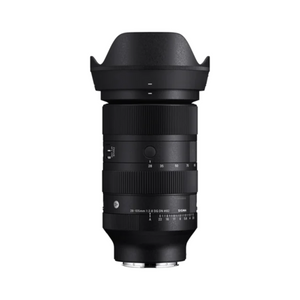 28-105mm F2.8 DG DN | A
