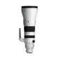 300-600mm F4 DG OS | S