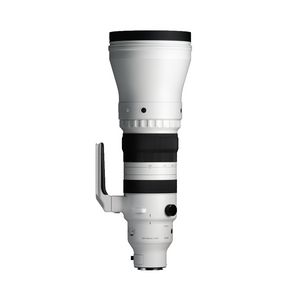 300-600mm F4 DG OS | S