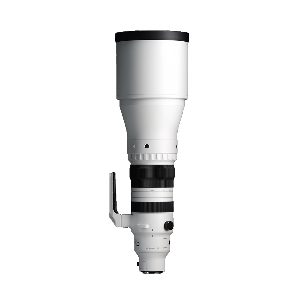 300-600mm F4 DG OS | S