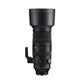 60-600mm F4.5-6.3 DG DN OS | S