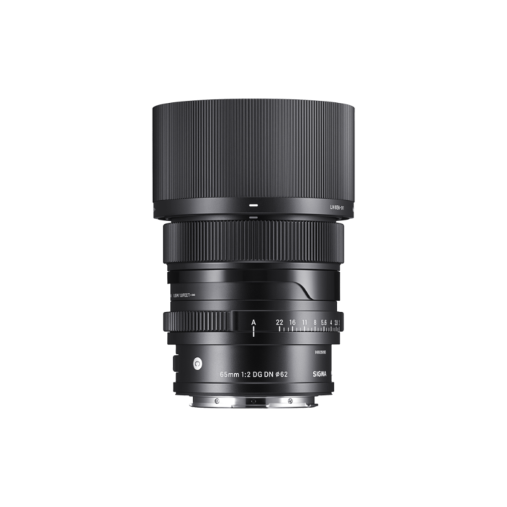 65mm F2 DG DN | C