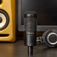 Audio-Technica AT2050 Podcast Microphone