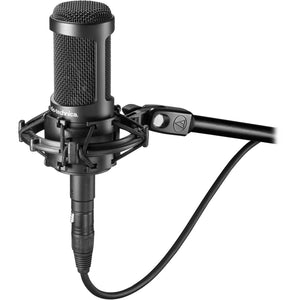 Audio-Technica AT2050 Podcast Microphone