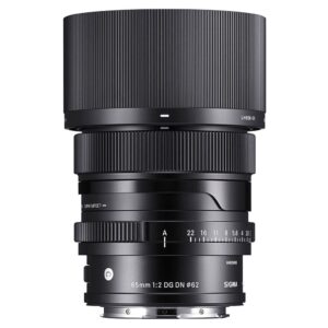 65MM F2 DG DN | C